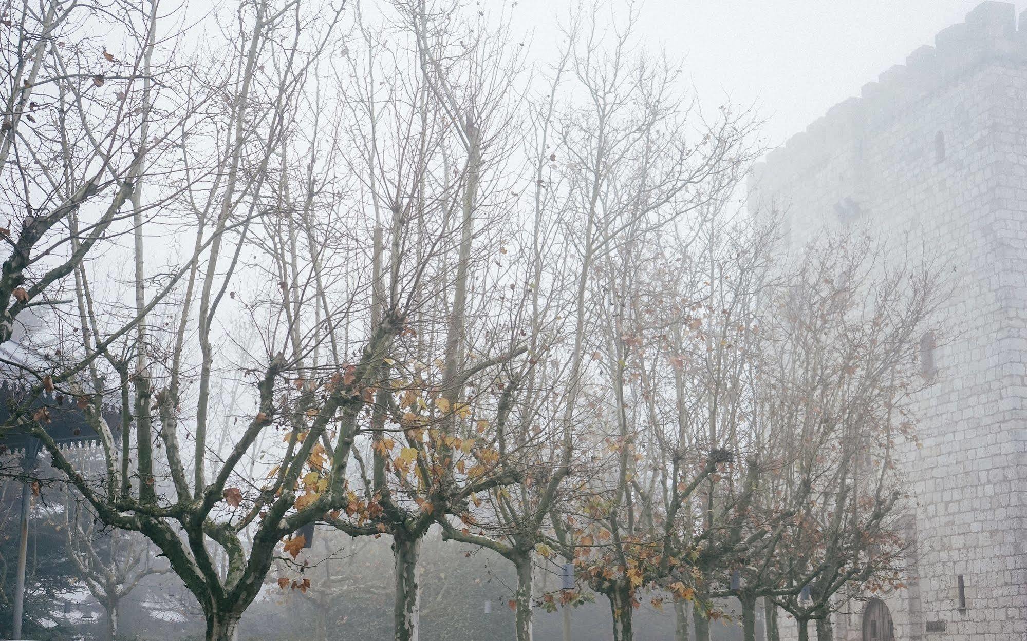 Landa Hotel บูร์โกส ภายนอก รูปภาพ Trees in winter