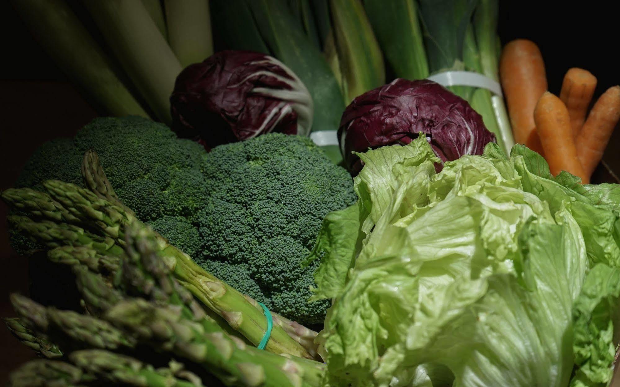 Landa Hotel บูร์โกส ภายนอก รูปภาพ Vegetables